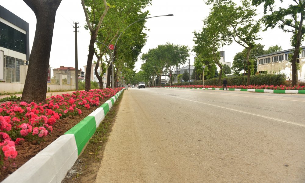 Yenişehir’in vitrininde bahar havası… 