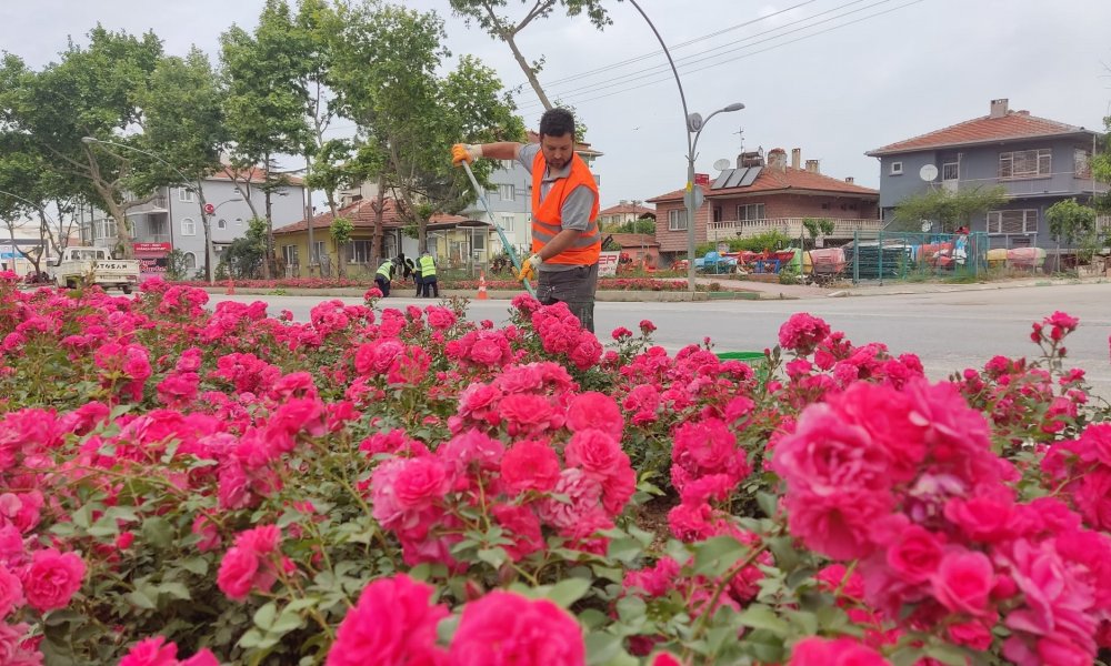 Yenişehir’in vitrininde bahar havası… 