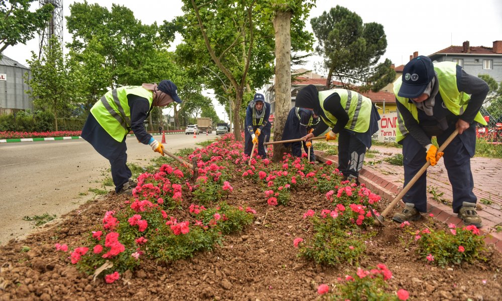 Yenişehir’in vitrininde bahar havası… 
